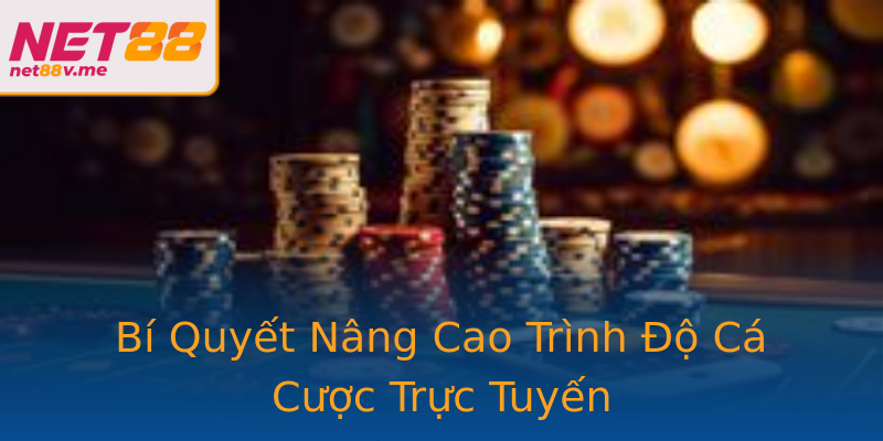 Bí Quyết Nâng Cao Trình Độ Cá Cược Trực Tuyến Bí Quyết Nâng Cao Trình Độ Cá Cược Trực Tuyến
