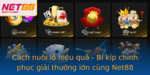 Cach Nuoi Lo Hieu Qua Bi Kip Chinh Phuc Giai Thuong Lon Cung Net88