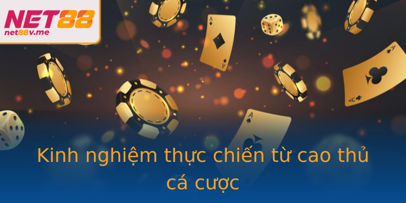 Kinh nghiệm thực chiến từ cao thủ cá cược Kinh nghiệm thực chiến từ cao thủ cá cược