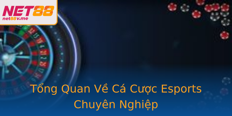 Tổng Quan Về Cá Cược Esports Chuyên Nghiệp Tổng Quan Về Cá Cược Esports Chuyên Nghiệp